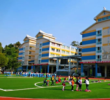 小学校园教育经典语文教学