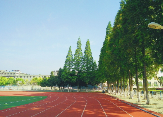 校园精神文化建设之活动！